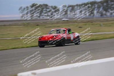 media/Mar-30-2025-Speed Ventures (Sun) [[39e6b1441d]]/Purple/Front Straight/